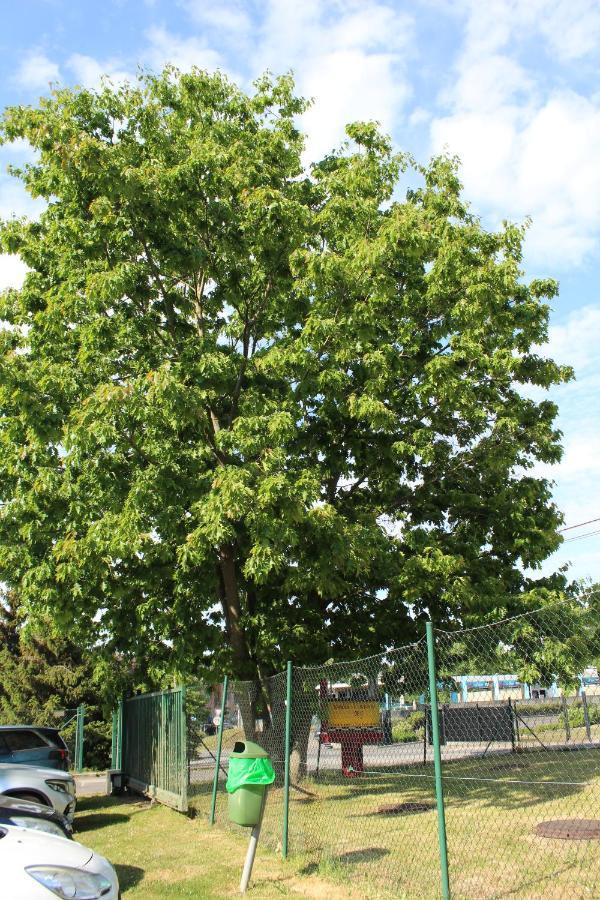 Class'eco Charleroi Exterior foto